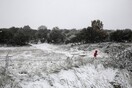 Προβλήματα από το νέο χιονιά στον Έβρο