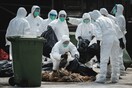 80.000 πουλερικά σφαγιάστηκαν σε φάρμα στην Ιαπωνία μετά την έξαρση επιδημίας της γρίπης των πτηνών