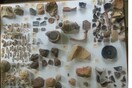 Η ΕΛ.ΑΣ ανακάλυψε πλήθος αρχαιολογικών ευρημάτων μέσα σε 2 αποθήκες στην Χαλκιδική