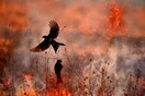 11 εντυπωσιακές φωτογραφίες φύσης που διακρίθηκαν στον διαγωνισμό BigPicture