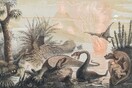 Paleoart: Η τέχνη της απεικόνισης των προϊστορικών πλασμάτων