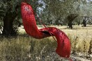 'Αγνωστοι καλλιτέχνες, δημόσιες συλλογές