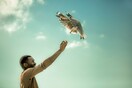 Έρχεται το Fast Forward Festival 2017