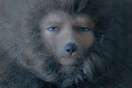 Δείτε το trailer και διαβάστε για την ταινία «Ο Γιος της Σοφίας» της Ελίνας Ψύκου που θριάμβευσε στο φεστιβάλ Τραϊμπέκα