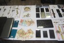 Εξαρθρώθηκε πολυμελής σπείρα με τουλάχιστον 132 κλοπές και διαρρήξεις στη Δυτική Ελλάδα