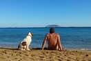 30 νέες φωτογραφίες απ' τα τέλεια ζώα των αναγνωστών μας