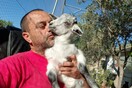 Ένας Κρητικός έχει για κατοικίδιο ένα κατσίκι (και 250 σκυλιά)