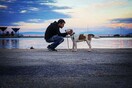 30 νέες φωτογραφίες απ' τα τέλεια ζώα των αναγνωστών μας