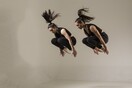 Στο In Progress Feedback Festival το κοινό ψηφίζει ξανά την αγαπημένη του καλλιτεχνική ομάδα