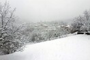 Χιόνι σκέπασε τα πάντα στην Καρδίτσα