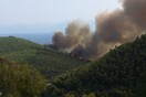 Μεγάλη πυρκαγιά στη Σκόπελο - Καίγεται ο Αμάραντος (ΦΩΤΟΓΡΑΦΙΕΣ)