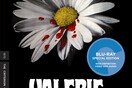 Το καλαισθητικό θαύμα των εξωφύλλων της Criterion Collection συνεχίζεται ακάθεκτο με τις τελευταίες κυκλοφορίες της