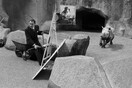 Όταν ο Νταλί ζωγράφιζε έναν ρινόκερο