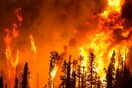 Καύσωνας και πυρκαγιές σχεδόν σε όλη την Ευρώπη: Χιλιάδες στρέμματα δάσους έχουν γίνει στάχτη