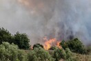 Οριοθετήθηκε η πυρκαγιά στην Εύβοια