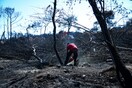 ΝΔ: 12 ερωτήματα για την τραγωδία στην Ανατ. Αττική - «Σοβαρά λάθη, εξοργιστικές παραλείψεις»