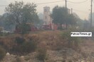 Εκτός ελέγχου η μεγάλη πυρκαγιά στην Αχαία