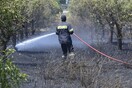 Δύο πυρκαγιές στην Κρήτη - Ισχυρές πυροσβεστικές δυνάμεις στα μέτωπα