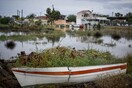 Βρέθηκε ζωντανός ο 27χρονος αγνοούμενος στην Εύβοια