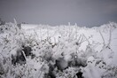 Καιρός: Βροχές, καταιγίδες και χιόνια στα ορεινά