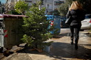 Θεσσαλονίκη: Να τι πρωτοποριακό θα κάνουν με τα άχρηστα χριστουγεννιάτικα δέντρα