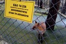 Διαμαρτυρία αναρχικών στον ζωολογικό κήπο Θεσσαλονίκης - Κρέμασαν πανό στα κλουβιά των ζώων