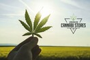 Τα Cannabi Stores ήρθαν για να μας προσφέρουν τα οφέλη ενός ξεχωριστού φυτού