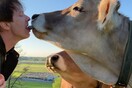 «Μην φιλάτε τις αγελάδες»: Η Αυστρία προειδοποιεί για το Cow Kiss Challenge που έγινε viral