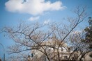 Καιρός: Oι πρώτες προβλέψεις για το τριήμερο της Αποκριάς