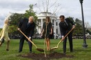 Πέθανε το δέντρο-σύμβολο της φιλίας του Τραμπ και Μακρόν