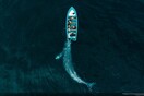 National Geographic: Οι καλύτερες ταξιδιωτικές φωτογραφίες της χρονιάς