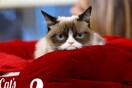 Πέθανε η Grumpy Cat, η διασημότερη γάτα του κόσμου με τη βλοσυρή έκφραση