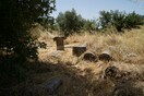 Ένα καυτό μεσημέρι στα ερείπια της Aρχαίας Μεσσήνης