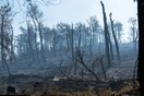 Οριοθετημένη και σε ύφεση η φωτιά στην Εύβοια - Έχουν καεί 23.565 στρέμματα