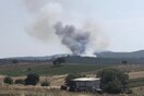 Φωτιά στην Εύβοια: Απομακρύνονται κάτοικοι - Ενισχύονται οι δυνάμεις της πυροσβεστικής
