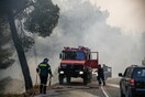 Φωτιά στην Εύβοια: Σε κατάσταση έκτακτης ανάγκης ο δήμος Διρφύων - Μεσσαπίων