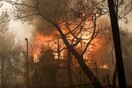 Φωτιά στην Κινέτα - Πόρισμα: Από καλώδια και στύλους της ΔΕΗ ξεκίνησε η πυρκαγιά