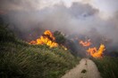 Φωτιά στον Κιθαιρώνα Αττικής - Μεγάλη κινητοποίηση της πυροσβεστικής