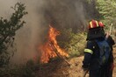 Φωτιά κοντά σε σπίτια στο Λαγονήσι - Άνεμοι 8 μποφόρ