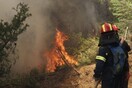 Φωτιά κοντά σε σπίτια στο Λαγονήσι - Άνεμοι 8 μποφόρ