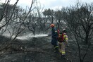 Υπό μερικό έλεγχο η πυρκαγιά στο Λαγονήσι