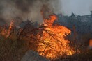 Πυρκαγιά στο Λαγονήσι - Μεγάλη επιχείρηση της πυροσβεστικής