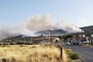 Μεγάλη δασική πυρκαγιά στη Σάμο: Σε ετοιμότητα για πιθανή εκκένωση ξενοδοχείων