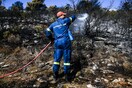 Πυρκαγιά στους Δελφούς - Σε εξέλιξη επιχείρηση κατάσβεσης