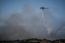 Μάνη: Πυρκαγιά σε δυσπρόσιτη δασική έκταση