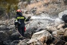 Πυρκαγιά στη Χαλκιδική - Μεγάλη κινητοποίηση της πυροσβεστικής