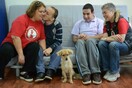 «Therapy Dogs»: πώς δημιουργήθηκε η πρώτη ομάδα «σκύλων-θεραπευτών» στην Ελλάδα