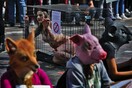 Πρέπει ο βιγκανισμός να προστατεύεται διά νόμου; Μία υπόθεση «σταθμός» ίσως αλλάξει τα δεδομένα