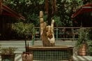 Το Noah άνοιξε στο Πάρκο Ελευθερίας και θυμίζει μία αυλή στη Λατινική Αμερική