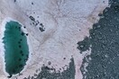 Άλγη «έβαψε» ροζ τις Ιταλικές Άλπεις - Έντονη ανησυχία για το λιώσιμο των πάγων